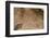 Prehistoric Rock Engravings of Taino Culturedominican Republic-Reinhard Dirscherl-Framed Photographic Print