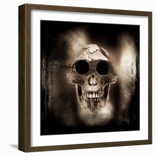 Prehistoric Skull-Clive Nolan-Framed Photographic Print