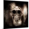 Prehistoric Skull-Clive Nolan-Mounted Photographic Print