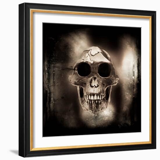 Prehistoric Skull-Clive Nolan-Framed Photographic Print