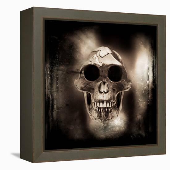 Prehistoric Skull-Clive Nolan-Framed Premier Image Canvas