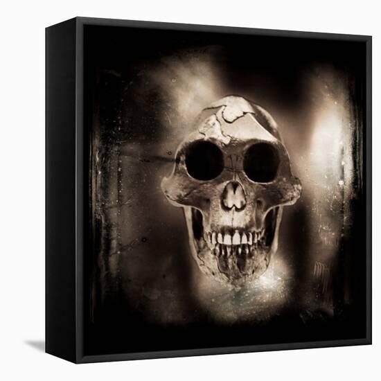 Prehistoric Skull-Clive Nolan-Framed Premier Image Canvas