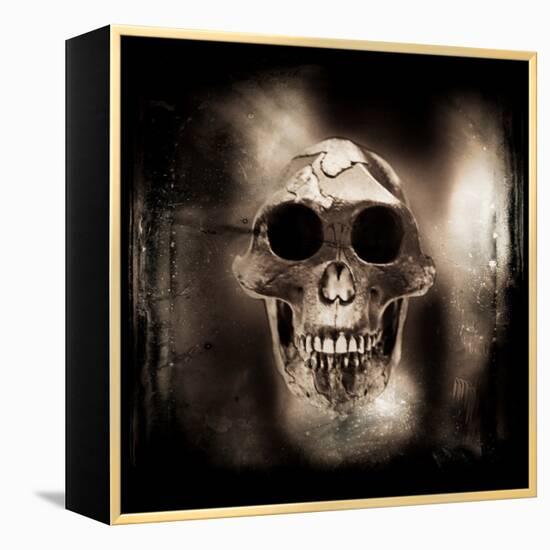 Prehistoric Skull-Clive Nolan-Framed Premier Image Canvas