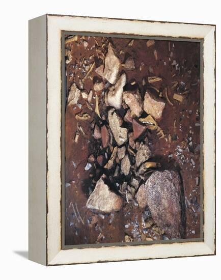 Prehistory-null-Framed Premier Image Canvas