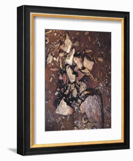 Prehistory-null-Framed Giclee Print