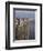 Preikestolen Rock, Lysefjorden, Rogaland, Norway, Scandinavia, Europe-Marco Cristofori-Framed Photographic Print