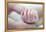 Premature Baby's Hand-Science Photo Library-Framed Premier Image Canvas