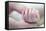 Premature Baby's Hand-Science Photo Library-Framed Premier Image Canvas