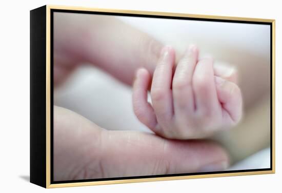 Premature Baby's Hand-Science Photo Library-Framed Premier Image Canvas