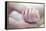 Premature Baby's Hand-Science Photo Library-Framed Premier Image Canvas