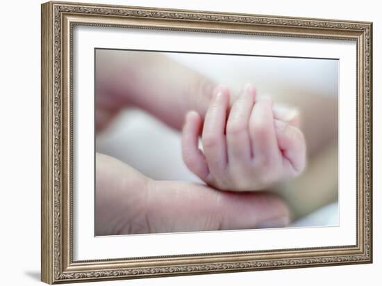 Premature Baby's Hand-Science Photo Library-Framed Photographic Print