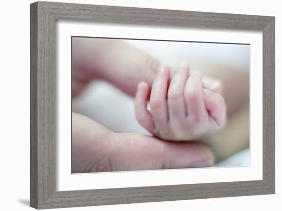 Premature Baby's Hand-Science Photo Library-Framed Photographic Print