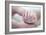 Premature Baby's Hand-Science Photo Library-Framed Photographic Print