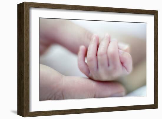 Premature Baby's Hand-Science Photo Library-Framed Photographic Print