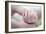 Premature Baby's Hand-Science Photo Library-Framed Photographic Print