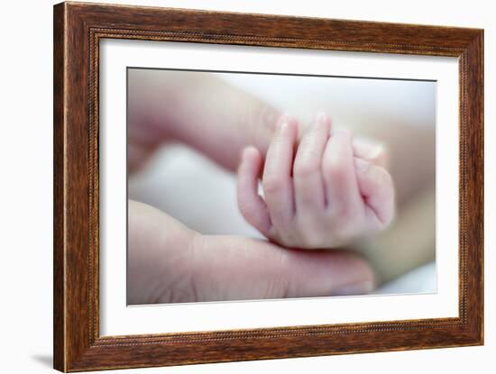 Premature Baby's Hand-Science Photo Library-Framed Photographic Print