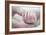 Premature Baby's Hand-Science Photo Library-Framed Photographic Print