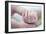 Premature Baby's Hand-Science Photo Library-Framed Photographic Print