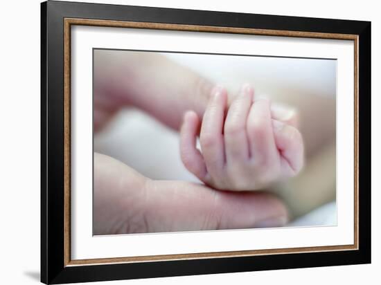 Premature Baby's Hand-Science Photo Library-Framed Photographic Print