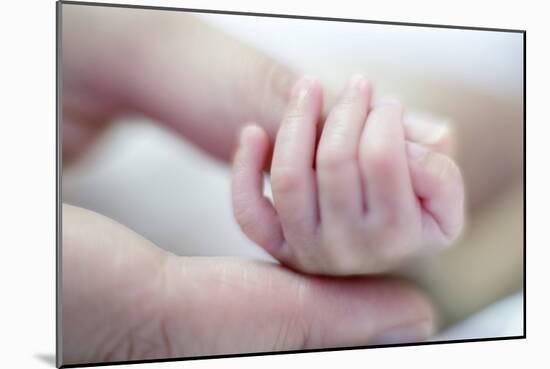 Premature Baby's Hand-Science Photo Library-Mounted Photographic Print
