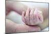 Premature Baby's Hand-Science Photo Library-Mounted Photographic Print