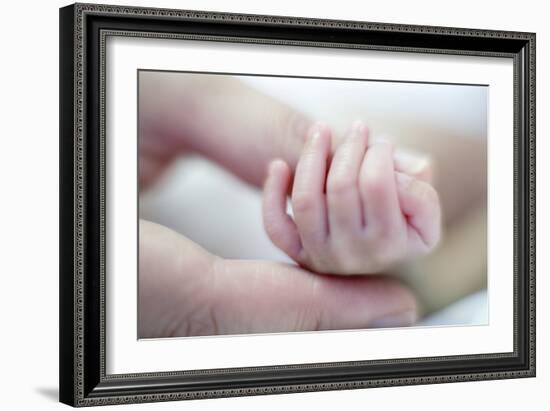 Premature Baby's Hand-Science Photo Library-Framed Photographic Print