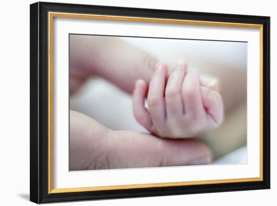 Premature Baby's Hand-Science Photo Library-Framed Photographic Print