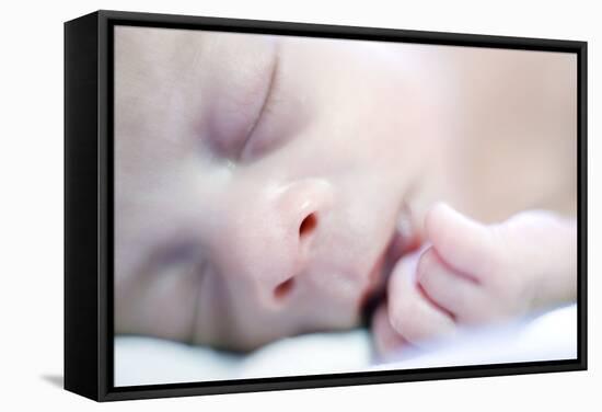 Premature Baby-Science Photo Library-Framed Premier Image Canvas