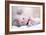 Premature Baby-Science Photo Library-Framed Photographic Print