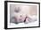 Premature Baby-Science Photo Library-Framed Photographic Print