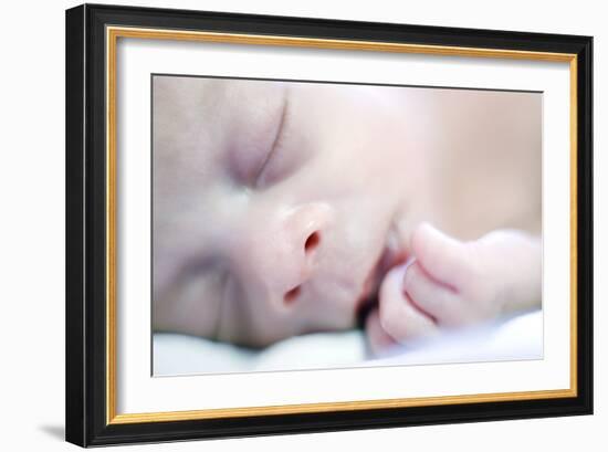 Premature Baby-Science Photo Library-Framed Photographic Print