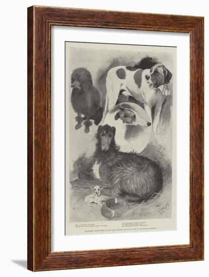 Premiership Prize-Winners at the Ladies' Kennel Association's Show at the Botanical Gardens-Cecil Aldin-Framed Giclee Print