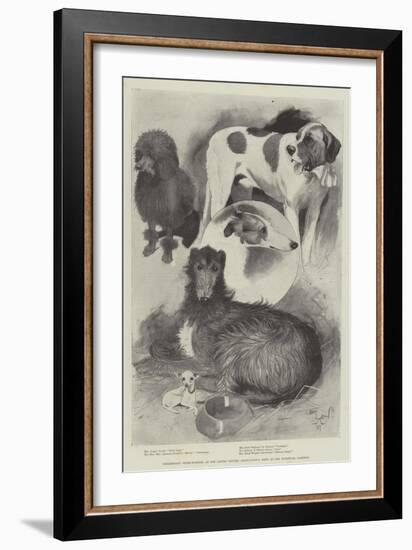 Premiership Prize-Winners at the Ladies' Kennel Association's Show at the Botanical Gardens-Cecil Aldin-Framed Giclee Print