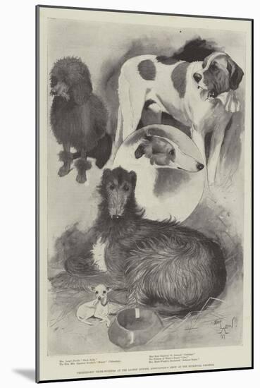 Premiership Prize-Winners at the Ladies' Kennel Association's Show at the Botanical Gardens-Cecil Aldin-Mounted Giclee Print