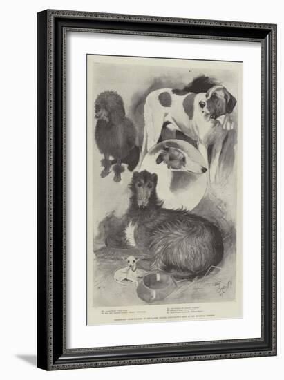 Premiership Prize-Winners at the Ladies' Kennel Association's Show at the Botanical Gardens-Cecil Aldin-Framed Giclee Print