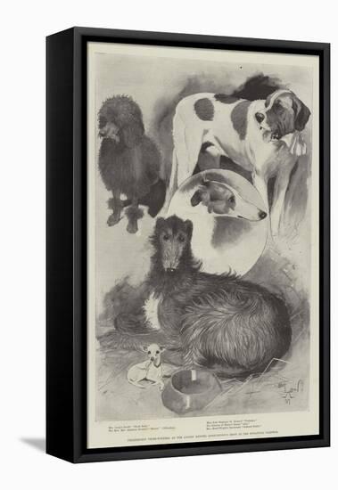 Premiership Prize-Winners at the Ladies' Kennel Association's Show at the Botanical Gardens-Cecil Aldin-Framed Premier Image Canvas