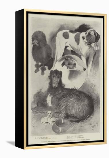 Premiership Prize-Winners at the Ladies' Kennel Association's Show at the Botanical Gardens-Cecil Aldin-Framed Premier Image Canvas