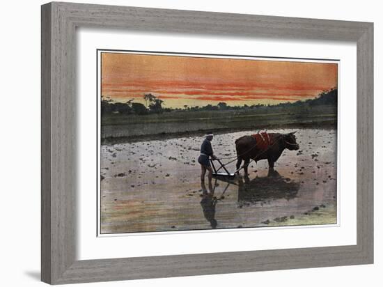 Preparation of a Rice Plantation in Japan, C1890-Charles Gillot-Framed Giclee Print
