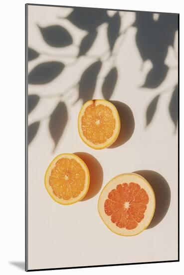 Prepared Citrus-Irene Suchocki-Mounted Giclee Print