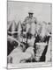 Photographic Print