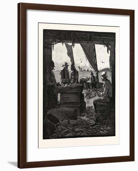 Preparing Fish for Market, Canada, Nineteenth Century-null-Framed Giclee Print