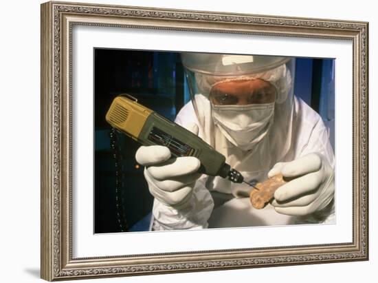 Preparing Neanderthal Bones for DNA Extraction-Volker Steger-Framed Photographic Print