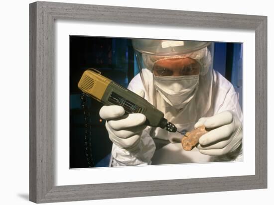 Preparing Neanderthal Bones for DNA Extraction-Volker Steger-Framed Photographic Print