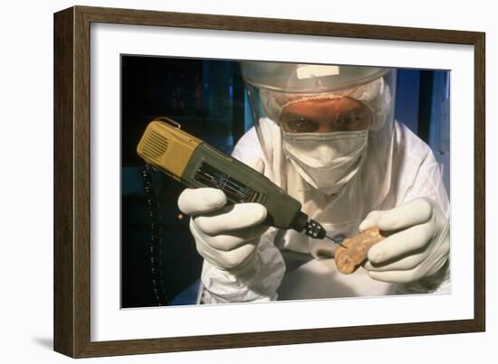 Preparing Neanderthal Bones for DNA Extraction-Volker Steger-Framed Photographic Print