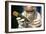 Preparing Neanderthal Bones for DNA Extraction-Volker Steger-Framed Photographic Print