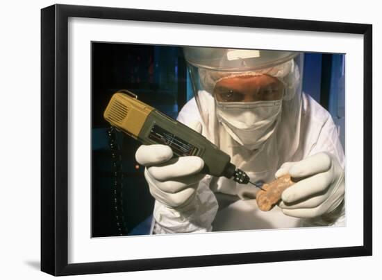 Preparing Neanderthal Bones for DNA Extraction-Volker Steger-Framed Photographic Print