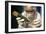 Preparing Neanderthal Bones for DNA Extraction-Volker Steger-Framed Photographic Print