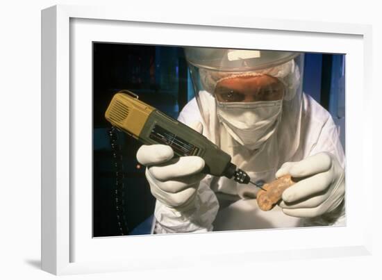 Preparing Neanderthal Bones for DNA Extraction-Volker Steger-Framed Photographic Print