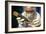 Preparing Neanderthal Bones for DNA Extraction-Volker Steger-Framed Photographic Print