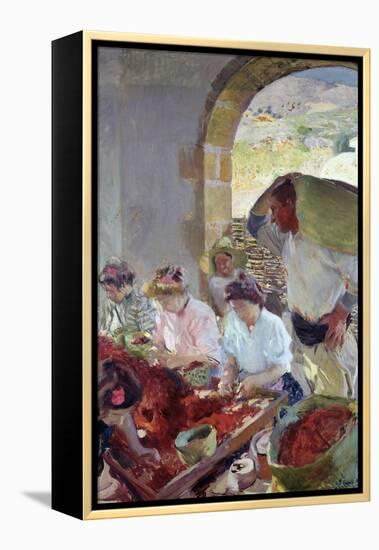 Preparing the Dry Grapes, 1890-Joaquín Sorolla y Bastida-Framed Premier Image Canvas